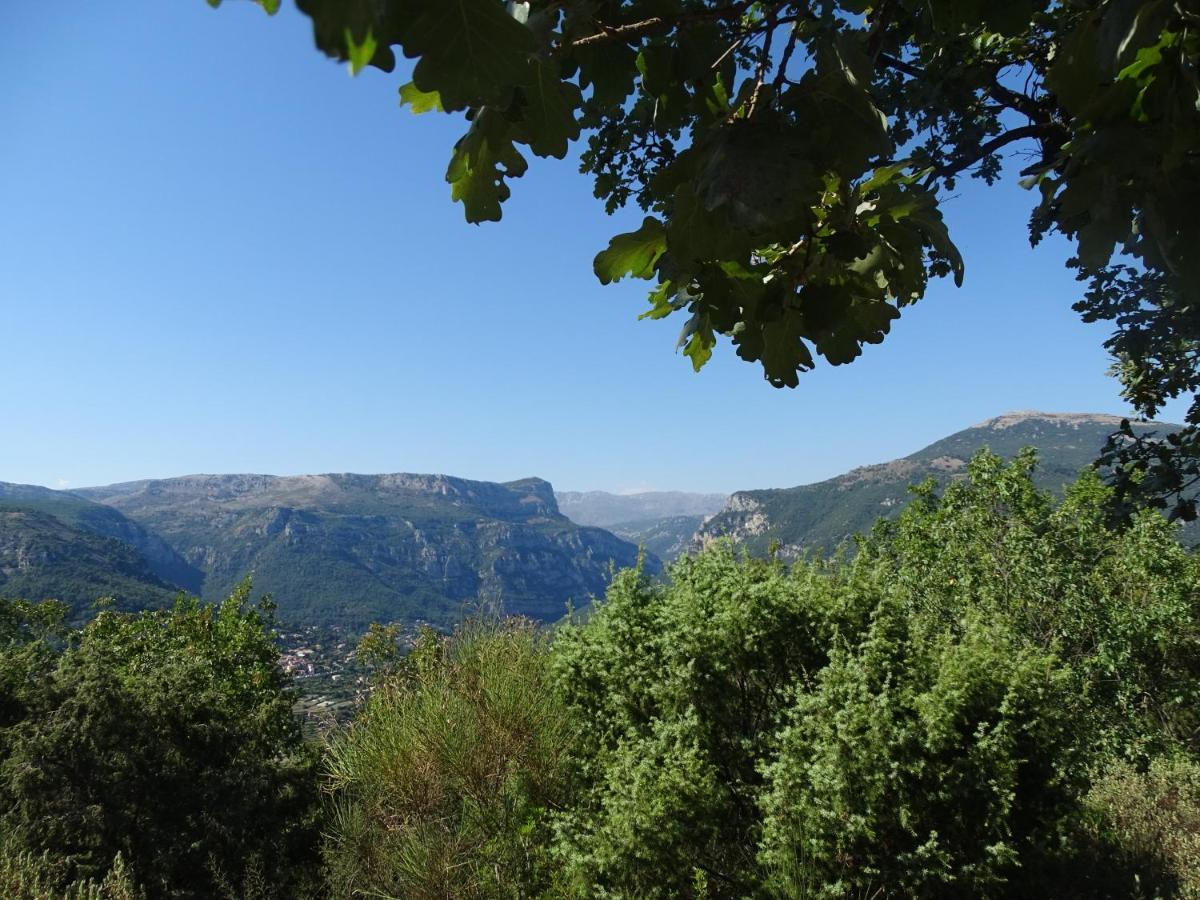 Luva D'Azur, Rez De Villa Le Riou - Le Vallon Le Bar-sur-Loup Exteriör bild